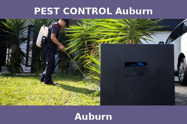 PEST CONTROL Auburn